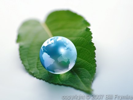 Earth Marble on Green Leaf