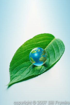 Earth Marble on Green Leaf