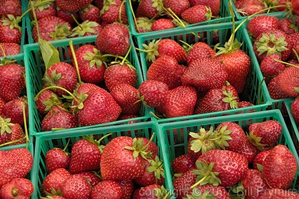 Basket of organic strawberries