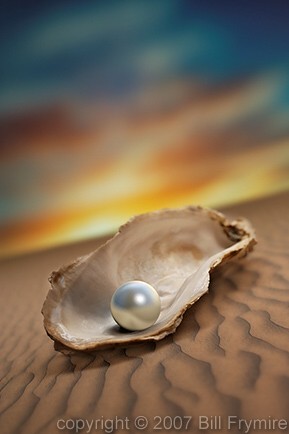 Oyster Shell Pearl