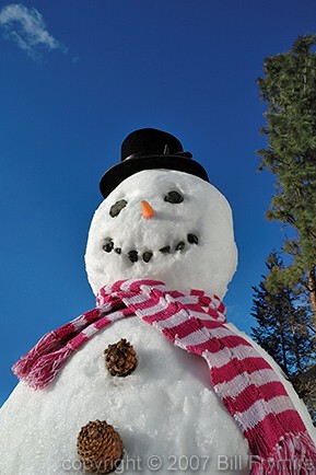 snowman with top hat and scarf