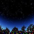 christmas trees in starry sky