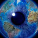 global vision iris