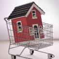 house in shopping cart