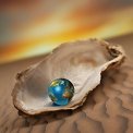 world in oyster on beach